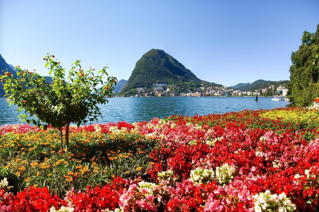 Boutique Homes Lugano Exteriér fotografie